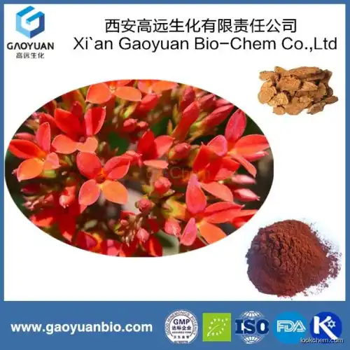 Natural organic rhodiola rosea extract with rosavin 1% for Improving the haematopoietic