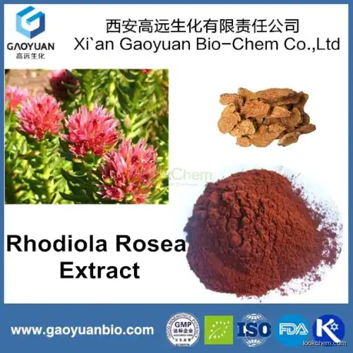 100% real natural rhodiola rosea extract with salidroside 1% for anti-aging