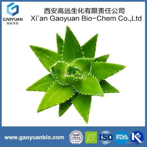 China supplier gaoyuan factory supply natural aloe vera extract for relaxing the bowels