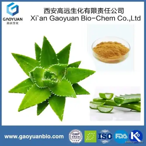 China supplier gaoyuan factory supply natural aloe vera extract for relaxing the bowels