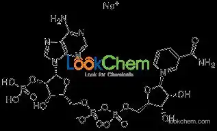 beta-NicotinaMide Adenine Dinucleotide Phosphate SodiuM Salt Hydrate, oxidized forM [for BiocheMical Research]