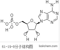 Adenosine Monophosphate acid