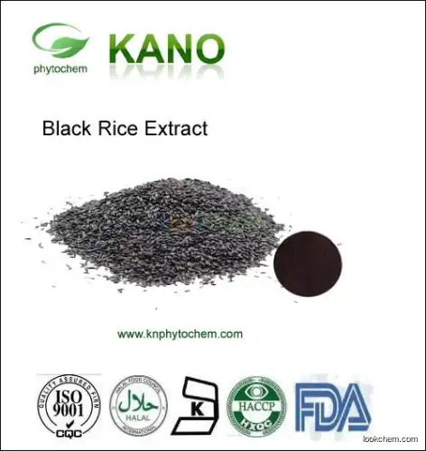 ISO Manufacture Supplying Black Rice Extract 5%-40%Anthocyanidin(13306-05-3)