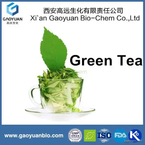 100% natural green tea extract by Chinese supplier by xi'an gaoyuan factory