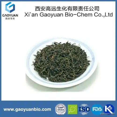 100% natural green tea extract by Chinese supplier by xi'an gaoyuan factory