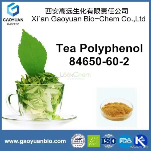 100% natural green tea extract by Chinese supplier by xi'an gaoyuan factory