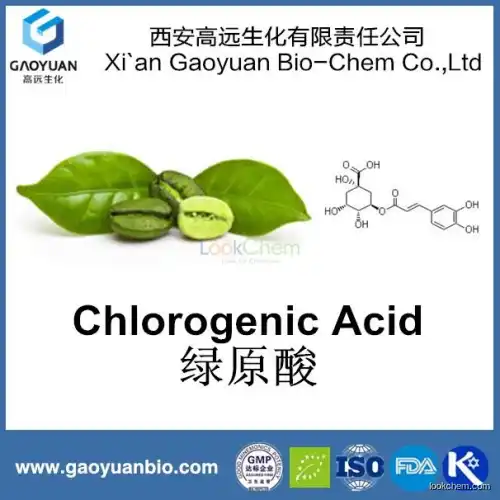 Chinese Supplier Health Care Supplement Coffea Arabica Extract Cholorogenic Acid 50%