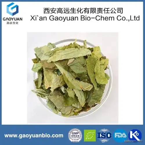 100% natural epimedium extract by China supplier xi'an gaoyuan factory