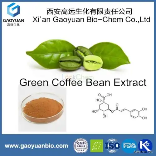 Coffee Robusta Extract 50%-98% Chlorogenic Acid with New Product