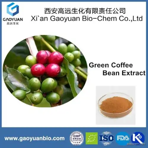 New products green coffe bean extract 50% with free sample by gaoyuan factory