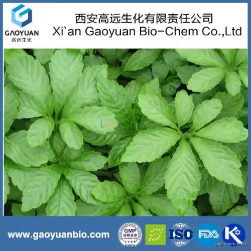 100% natural gynostemma p.e by China supplier xi'an gaoyuan factory