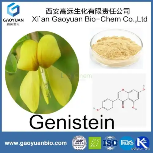 organic genista tinctoria Linn. genistein from alibaba China