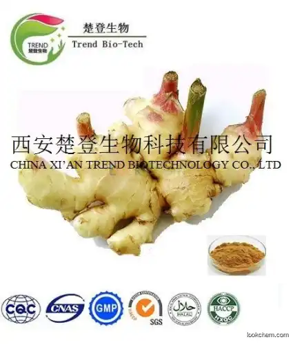 High Quality Ginger Extract Ginger Root Extract/Gingerols 5% 6% 10% 15% HPLC/UV(23513-14-6)
