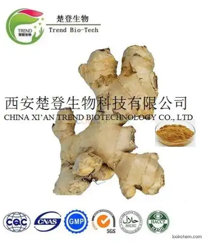 High Quality Ginger Extract Ginger Root Extract/Gingerols 5% 6% 10% 15% HPLC/UV