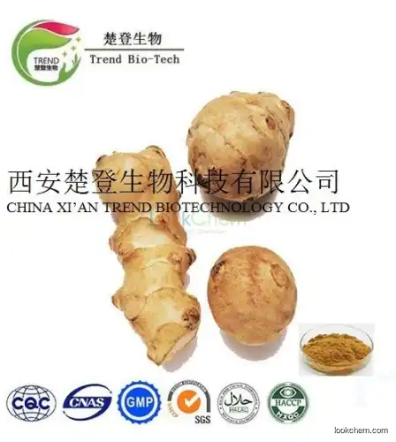High Quality Ginger Extract Ginger Root Extract/Gingerols 5% 6% 10% 15% HPLC/UV