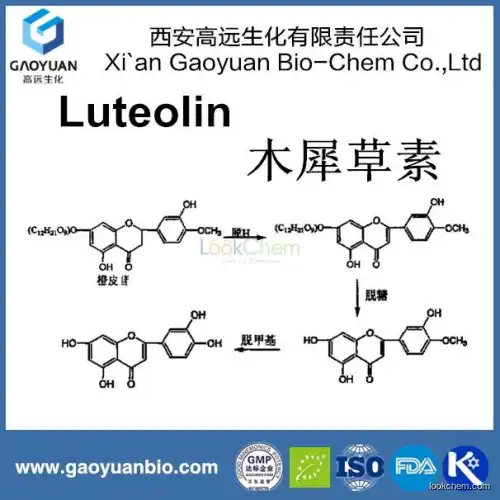 Organic luteolin 97% from online shopping supplied by xi'an gaoyuan factory