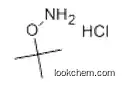 39684-28-1   C4H12ClNO    O-TERT-BUTYLHYDROXYLAMINE HYDROCHLORIDE