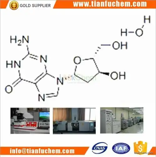 TIANFU-CHEM CAS:961-07-9 2'-Deoxyguanosine monohydrate