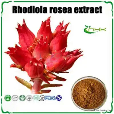 Chinese medical Rhodiola Rosea Extract with Rosavin & Salidroside(10338-51-9)