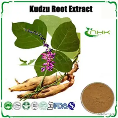 Natural Kudzu Root Extract Puerarin, Pueraria Extract Isoflavones