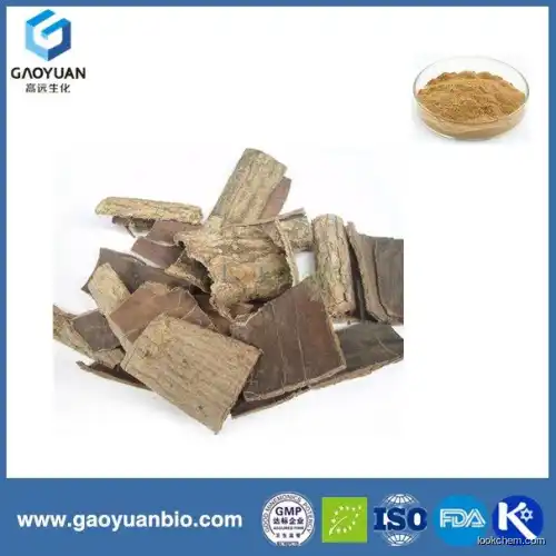Top quality 3-car-feoyquinic acid 10:1 tested by UV from alibaba China xi'an gaoyuan manufacturer