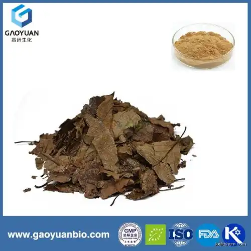 Pure natural cortex eucommiae extract from alibaba China supplied by xi'an gaoyuan factory