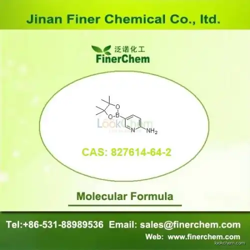 2-Aminopyridine-5-boronic acid pinacol ester