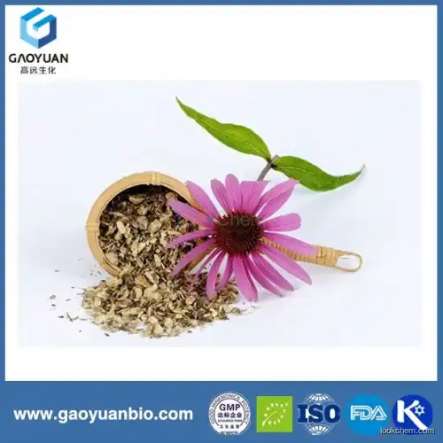 100% natural Echinacea herb p.e supplied by Chinese supplier xi'an gaoyuan factory