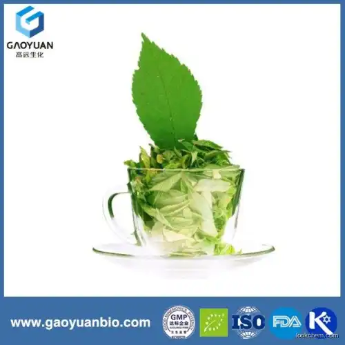 Pure natural green tea extarct with catechin from alibaba China by xi'an gaoyuan factory