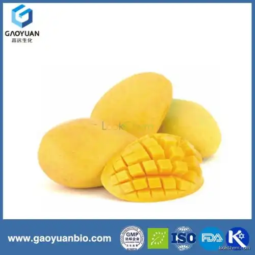 100% natural mango glucoside 95% from mangifera indica was supplied by China manufacturer gaoyuan factory