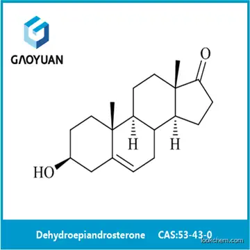 Best selling and high quality products dehydroepiandrosterone CAS 53-43-0 was supplied by xi'an gaoyuan factory