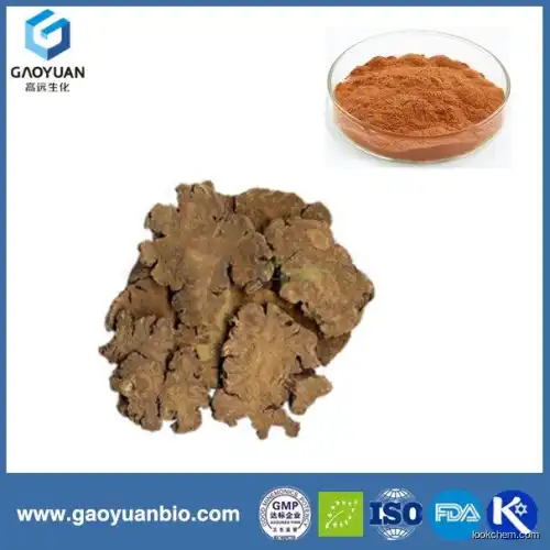 Hot products natual saechwan lovage rhizone was supplied by China supplier xi'an gaoyuan factory