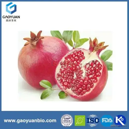 China supplier gaoyuan factory supply natural promegranate peel extract