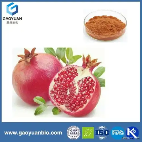 China supplier gaoyuan factory supply natural promegranate peel extract