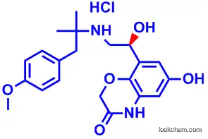 869477-96-3   Olodaterol     Hydrochloride
