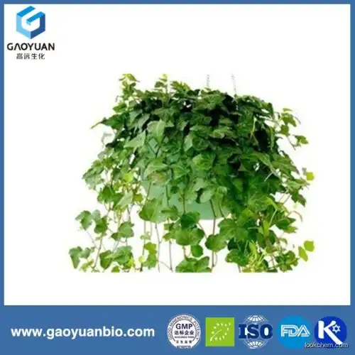 Top quality new products 100% natural lvy extarct was supplied by Chinese factory xi'an gaoyuan