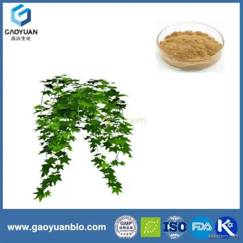 Top quality new products 100% natural lvy extarct was supplied by Chinese factory xi'an gaoyuan