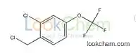 1261581-56-9     C8H5Cl2F3O   2-Chloro-4-(trifluoroMethoxy)benzyl chloride