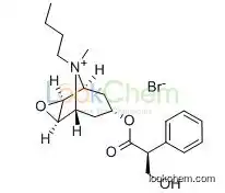 High Qualiy Scopolamine butylbromide Supplier