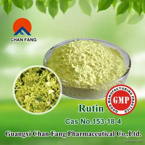 GMP manufacturer supply sophora japonica extract 95%/98%rutin(Yellow powder)(153-18-4)
