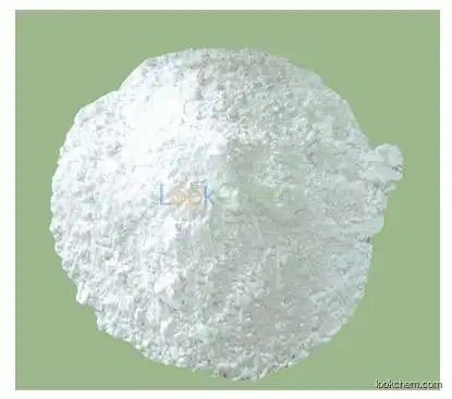 CAS:5026-62-0 C8H7NaO3 Sodium methylparaben
