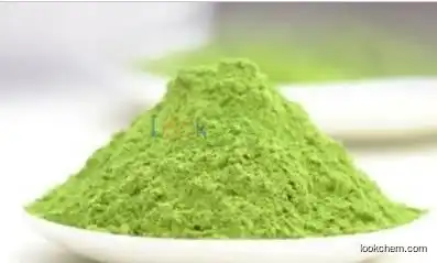 Barley grass powder cas#85251-64-5