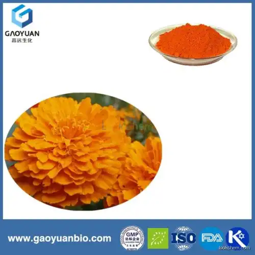 Online shopping lutein 10% from marigold flower was supplied by ISO certified manufacturer xi'an gaoyaun