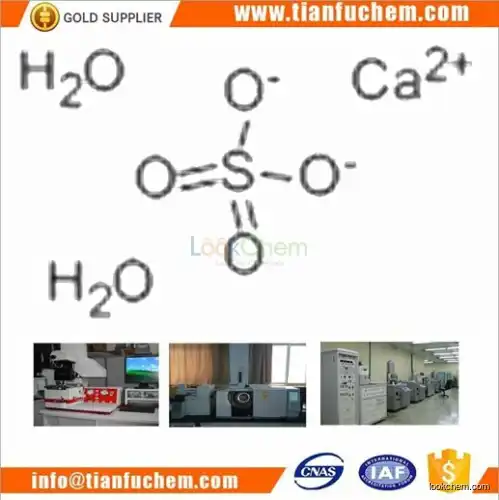TIANFU-CHEM CAS:10101-41-4 Calcium sulfate dihydrate