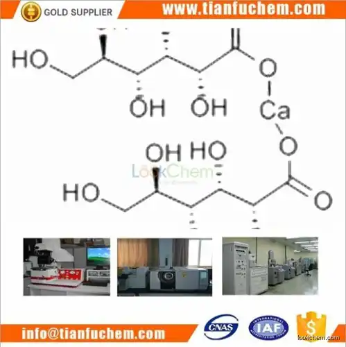 TIANFU-CHEM CAS:299-28-5 Calcium gluconate