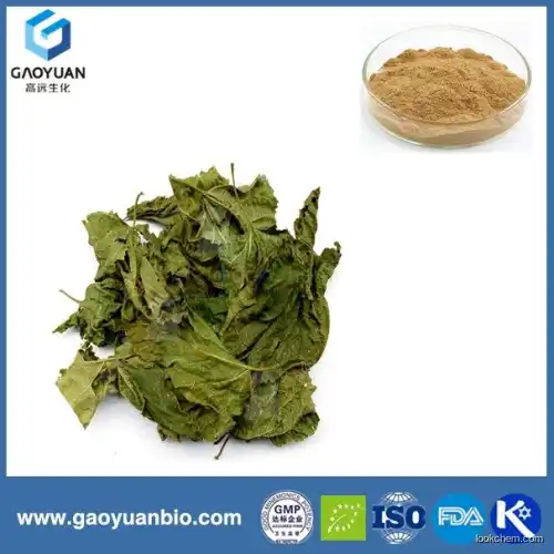 100% natural mulberry leaf extract with 1-deoixynojirimycin was supplied by xi'an gaoyuan manufacturer