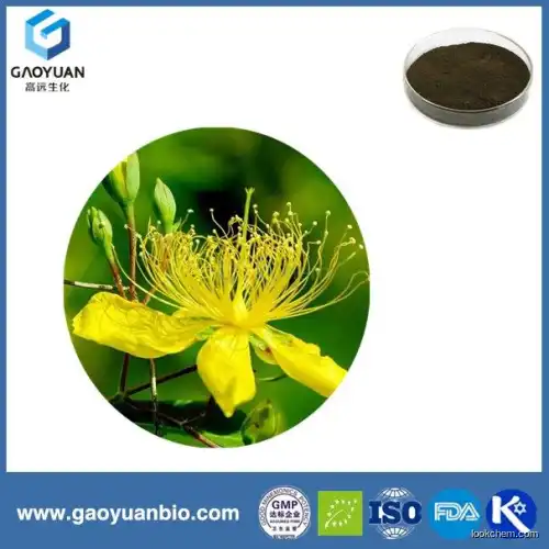 100% natural st.john's wort p.e   by gaoyuan factory