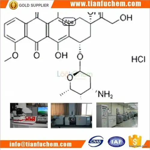 TIANFU-CHEM CAS:25316-40-9 Doxorubicin hydrochloride
