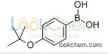 176672-49-4  C10H15BO3  4-T-BUTOXYPHENYLBORONIC ACID