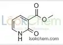 METHYL 2-OXO-1,2-DIHYDRO-3-PYRIDINECARBOXYLATE